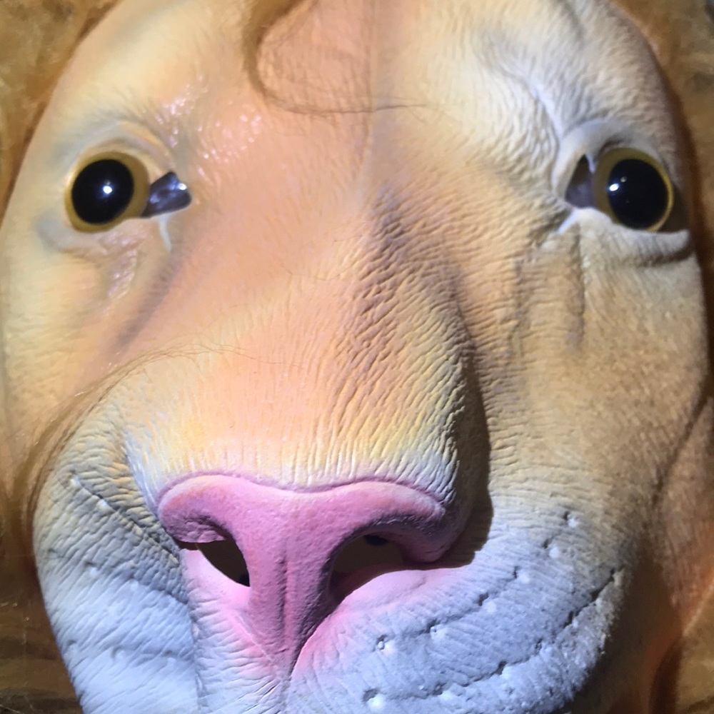 Mask - Picture 2 of 11